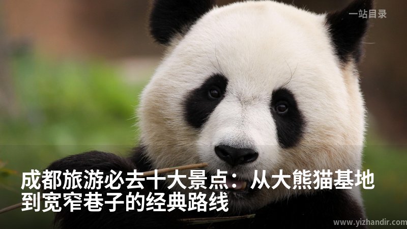 成都旅游必去十大景点:从大熊猫基地到宽窄巷子的经典路线
