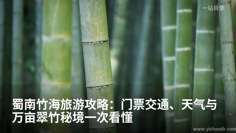 蜀南竹海旅游攻略：门票交通、天气与万亩翠竹秘境一次看懂