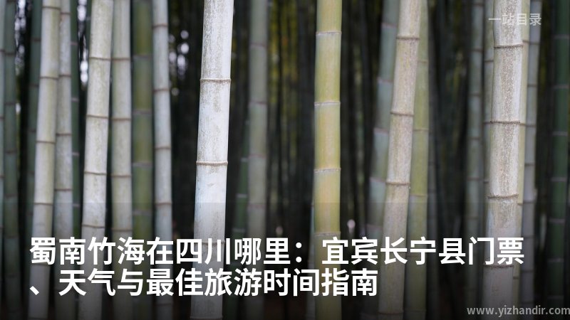 蜀南竹海在四川哪里:宜宾长宁县门票、天气与最佳旅游时间指南
