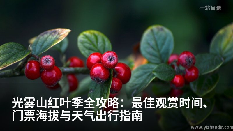 光雾山红叶季全攻略：最佳观赏时间、门票海拔与天气出行指南