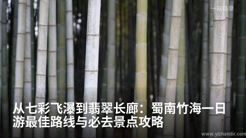 从七彩飞瀑到翡翠长廊：蜀南竹海一日游最佳路线与必去景点攻略