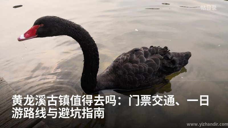 黄龙溪古镇值得去吗:门票交通、一日游路线与避坑指南